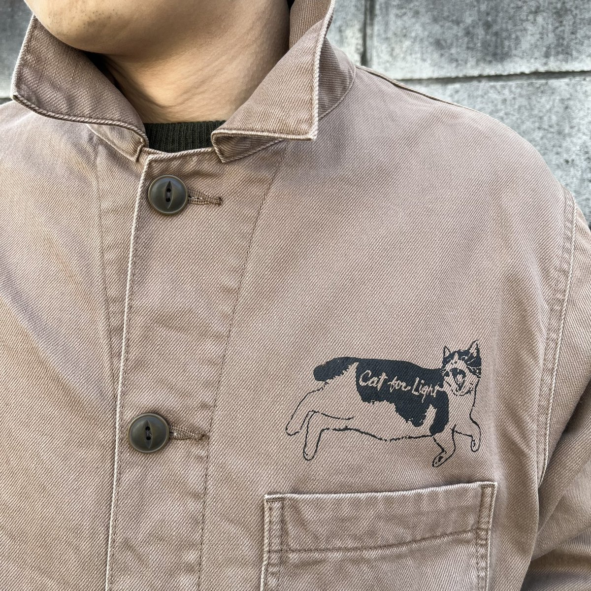 Cat for Light tweet media