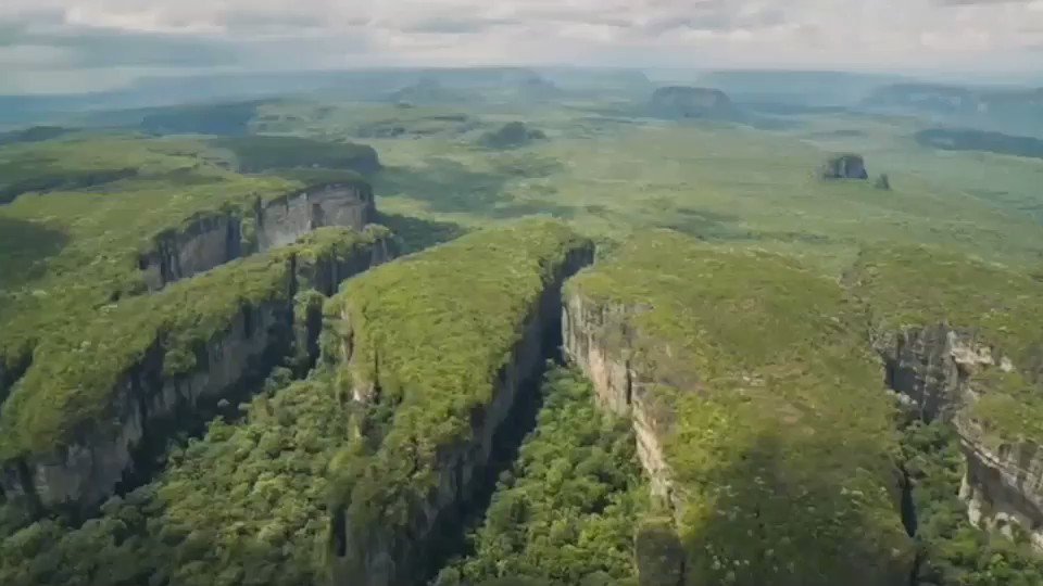 Historia de Colombia tweet media