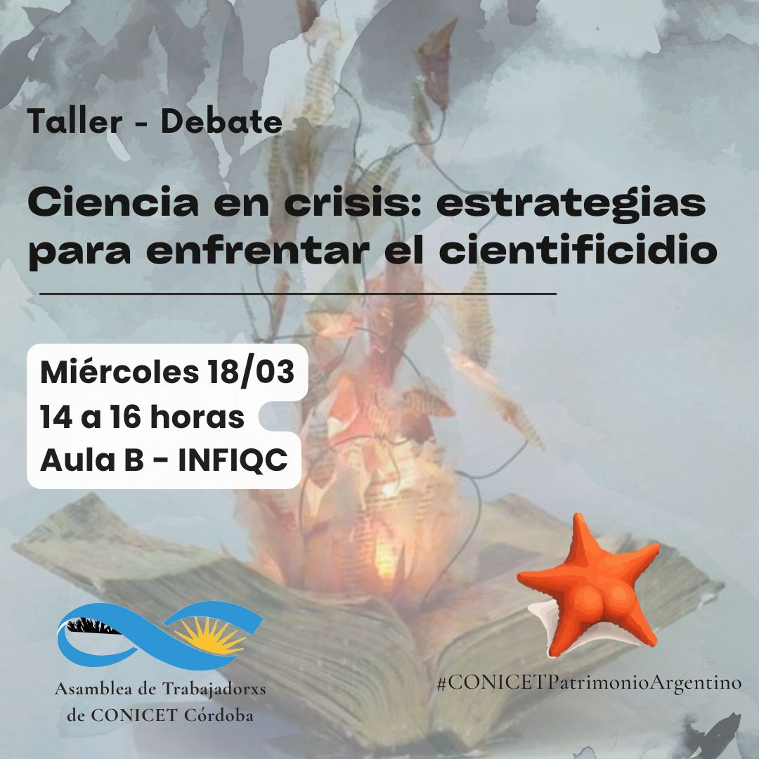 MesaFederalxCyT tweet media