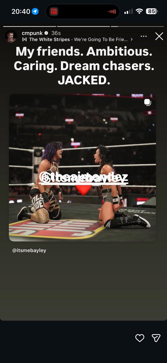 CM Punk Stories tweet media