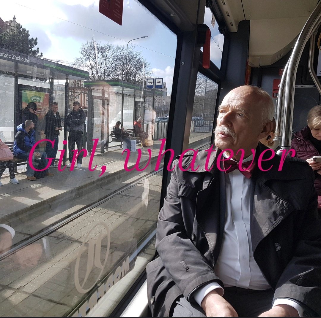 (๑ᵔ⤙ᵔ๑) tweet media