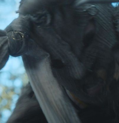 shea // pitt spoilers tweet media