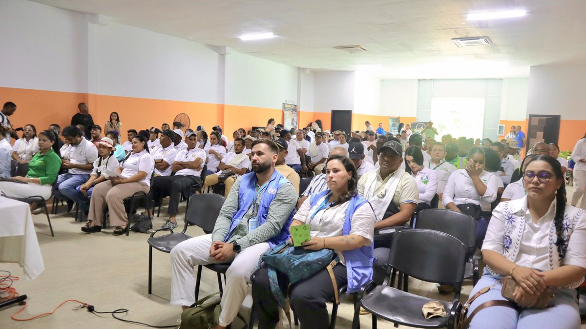 MisionONUCol's tweet photo. En esta iniciativa se destaca la participación comunitaria y el compromiso de las asociaciones con el proyecto, el acompañamiento técnico de @FAO_Colombia y la articulación con @SENAComunica, @cia_chocolates, @ICACOLOMBIA y @GobAntioquia. https://t.co/t2Abm3uoxY