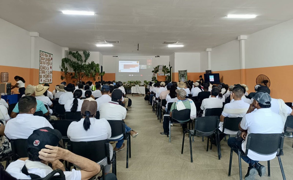 MisionONUCol's tweet photo. En Carepa, Antioquia, acompañamos el cierre del proyecto #PDET "Fortalecimiento de la cadena de cacao" que benefició a 100 familias y 3 asociaciones cacaoteras del municipio, con fondos de @RenovacionCo a través de @fcolombiaenpaz y recursos propios de la asociación Caocares.🧵 https://t.co/V81CarYGPB