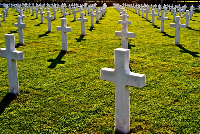 Rich Fleming tweet media