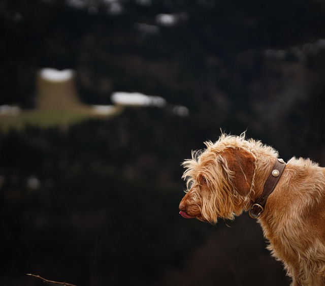 Jessica Jackson tweet media