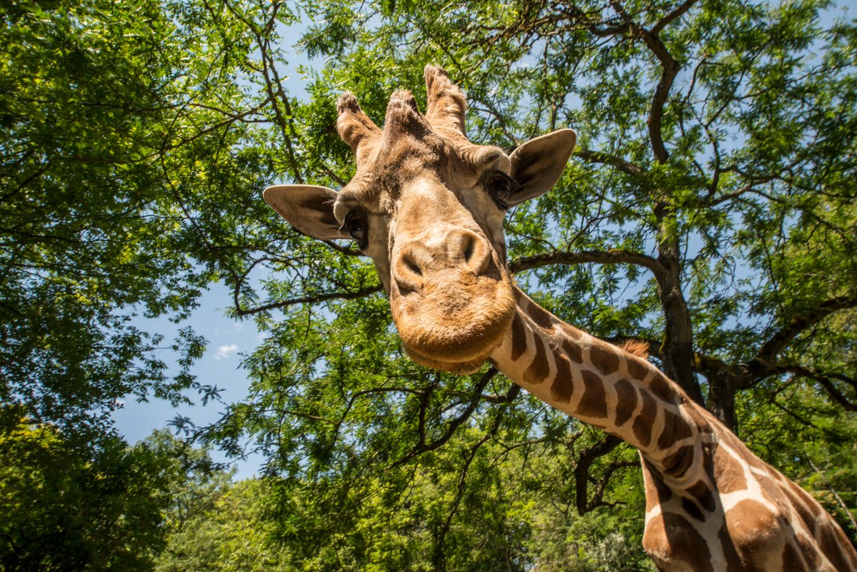 Washington Park tweet media