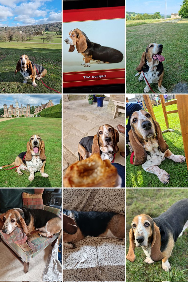 Ruby Monster tweet media