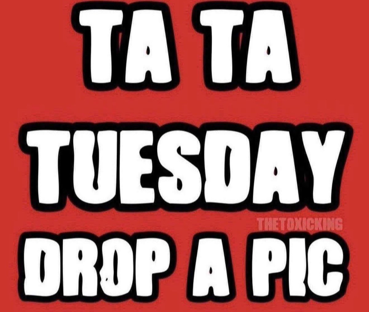 TheToxicKing tweet media