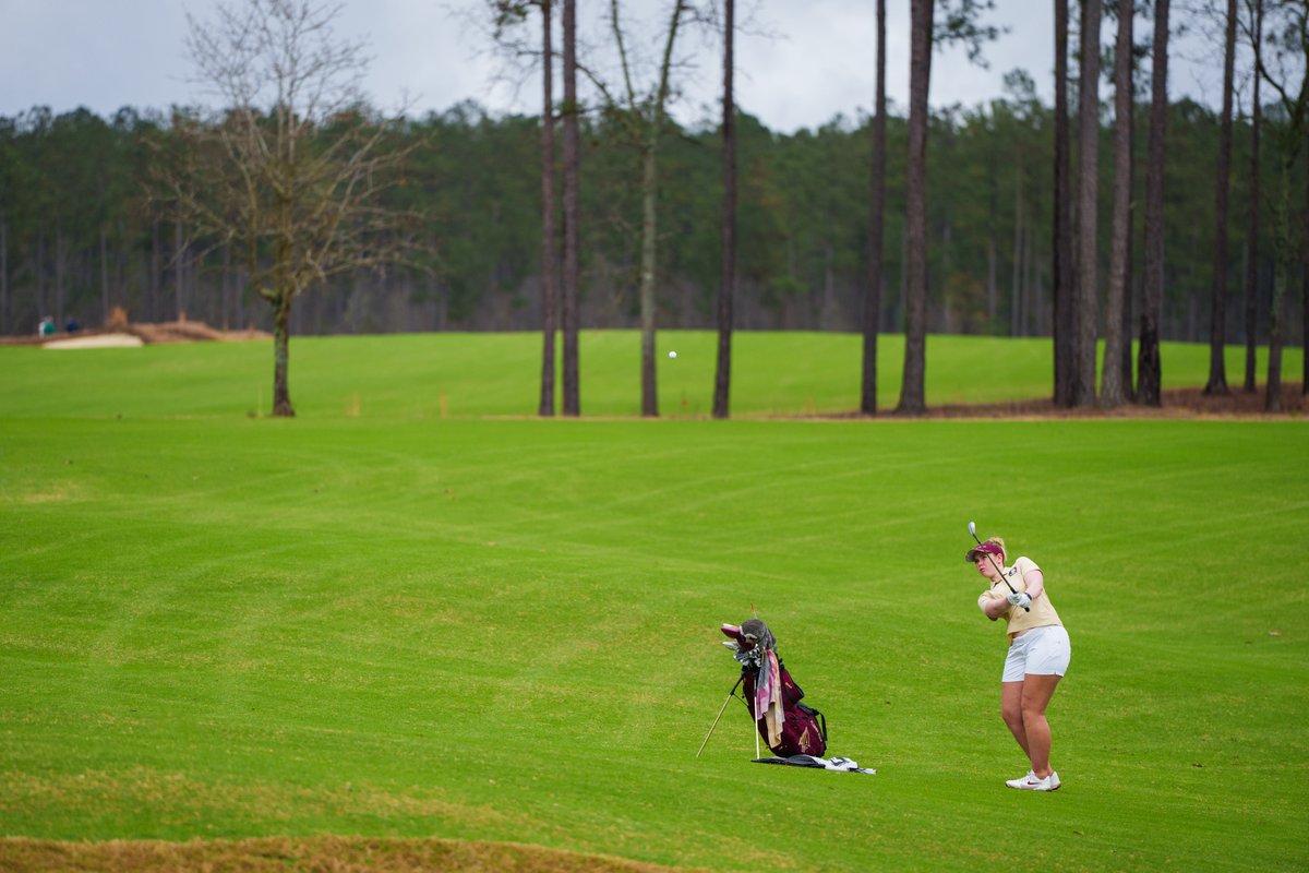 FSU Golf tweet media