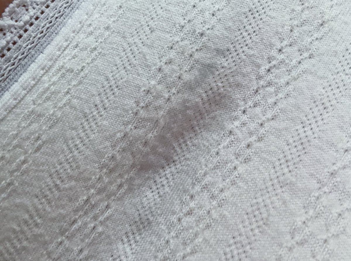 Puppy love tweet media