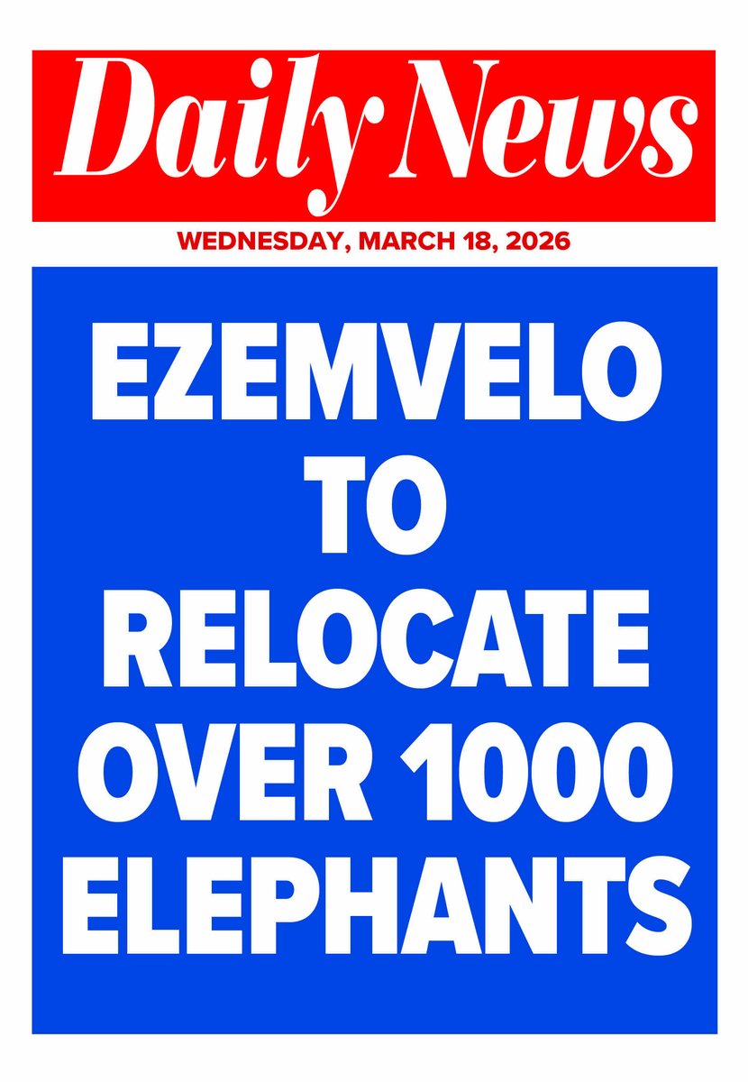 Daily News tweet media