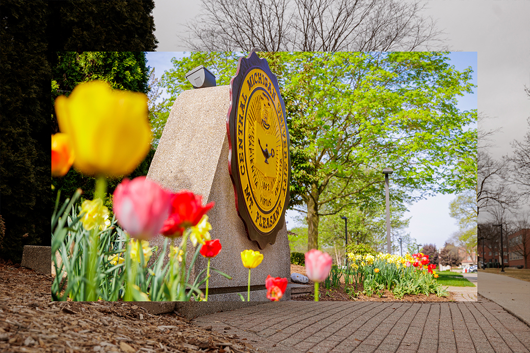 Central Michigan U. tweet media
