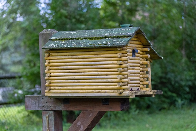 Preethika Turner tweet media