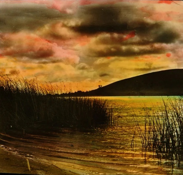 L.A. Dork tweet media