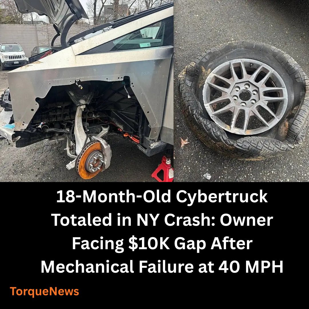 Torque News tweet media