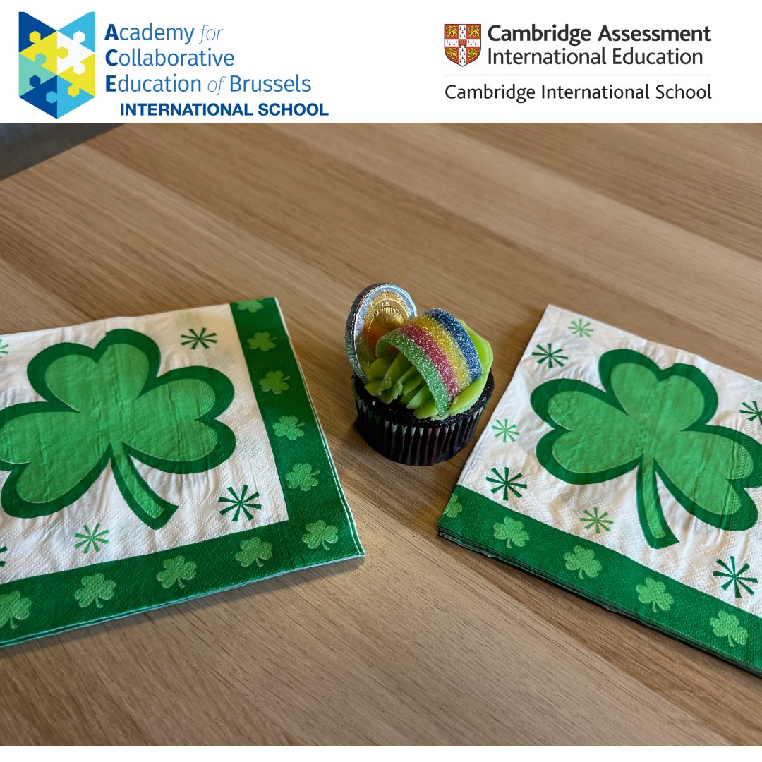 ACE of BRUSSELS INTERNATIONAL SCHOOL tweet media