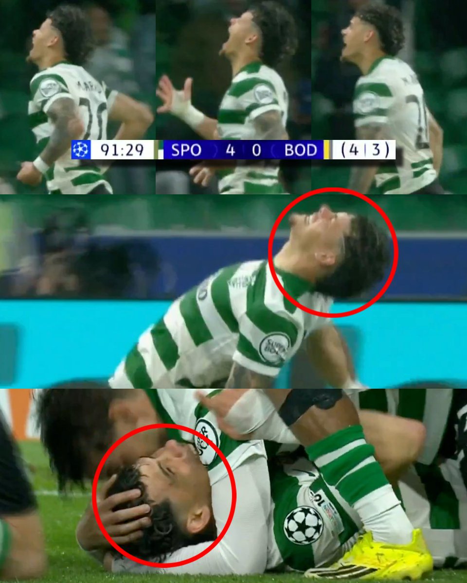 Invictos tweet media