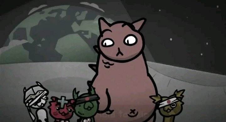 팔도 🔞 tweet media