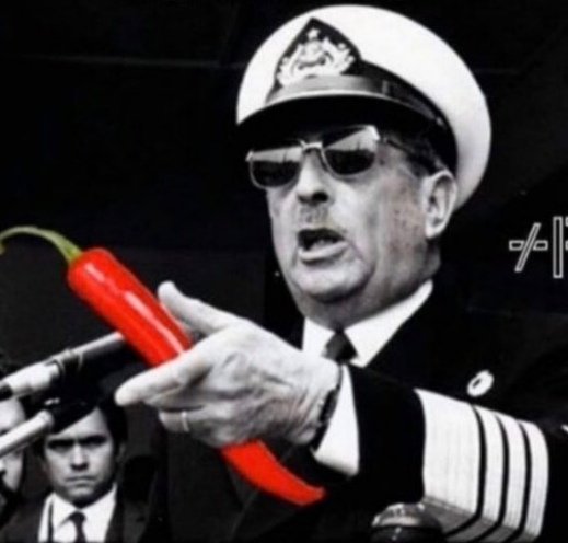 R.I. Nelson tweet media