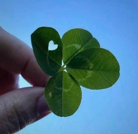 Paul O'Brien tweet media