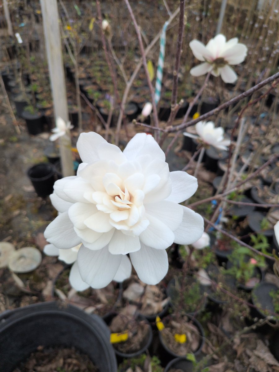 Ephraim ☦️ tweet media