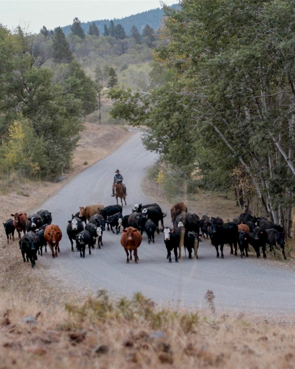 BC Agriculture Council tweet media