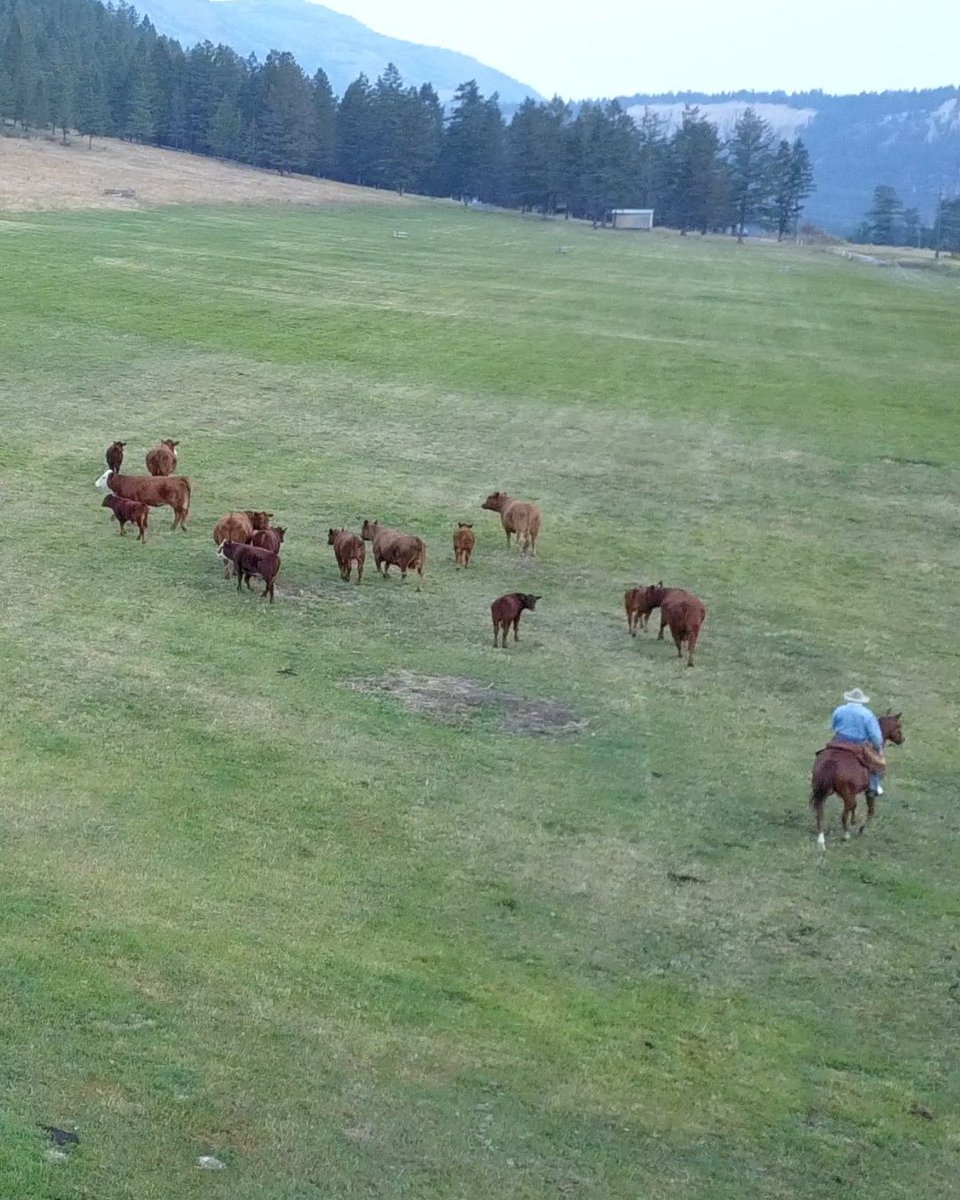 BC Agriculture Council tweet media