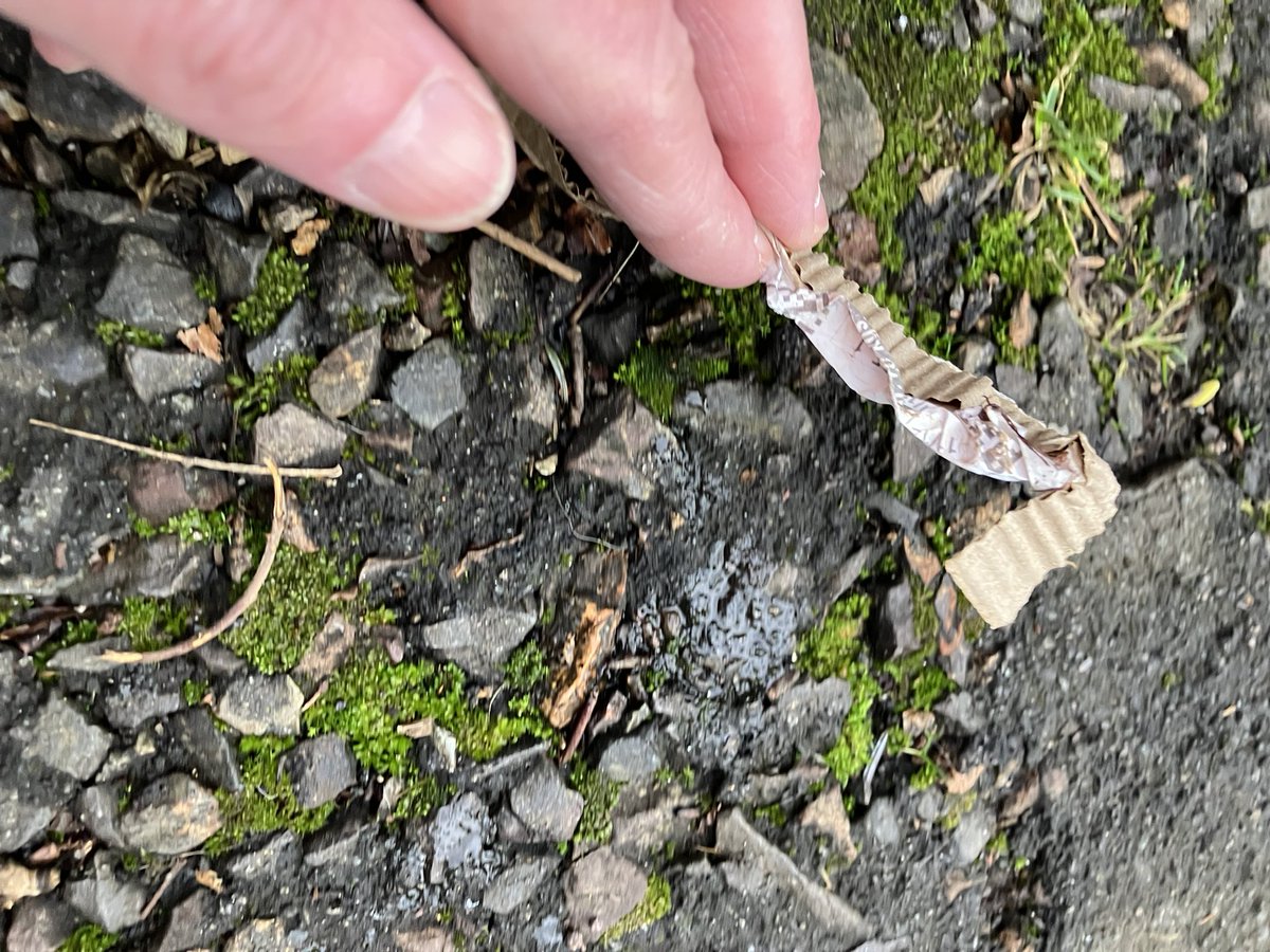 @_pickuplitter tweet media