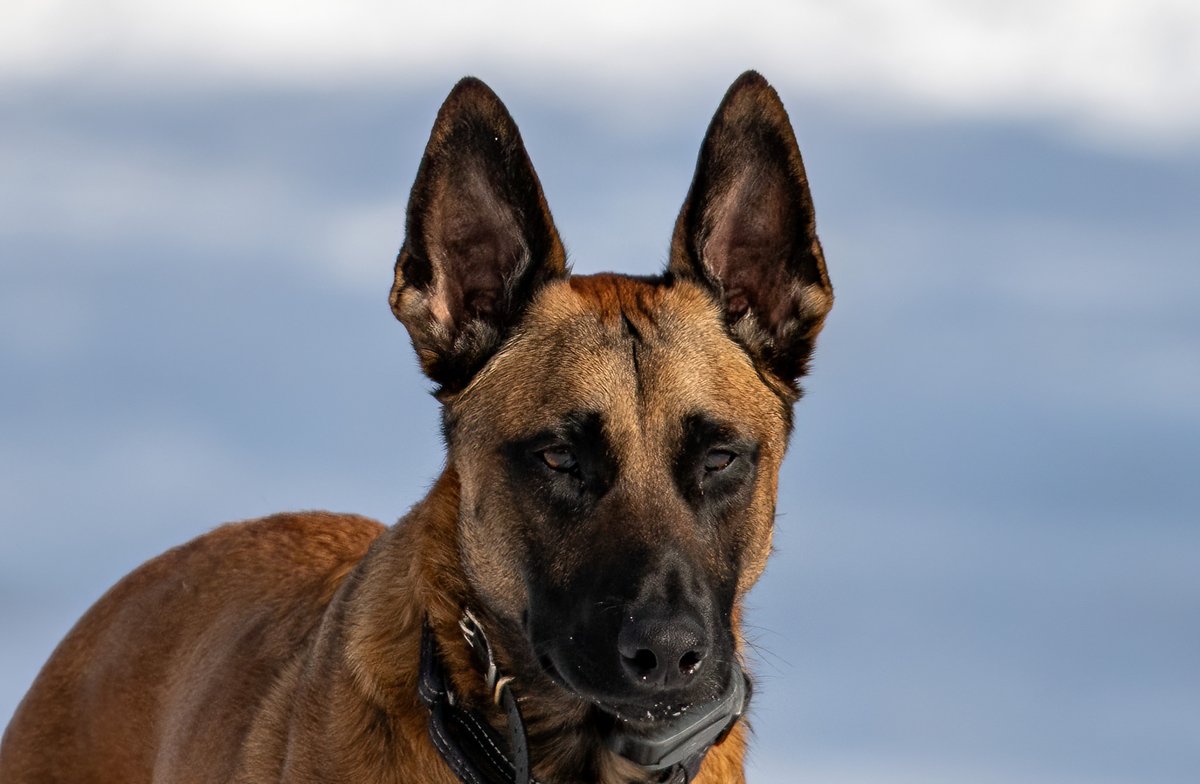 Tuesday group 10!!! Patron approved!!

Follow and repost!!

<a href="/RealKlaa/">Todd Bryant | Captain Klaa 🇺🇸</a> 

<a href="/kipperinIL/">Kip</a> 

<a href="/HanyNTakla2/">Hany N. Takla</a> 

<a href="/Kajonnes/">Jim</a>