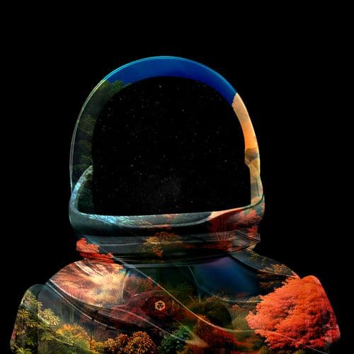 Cryptonauts Sales Bot 🚀 💸 tweet media