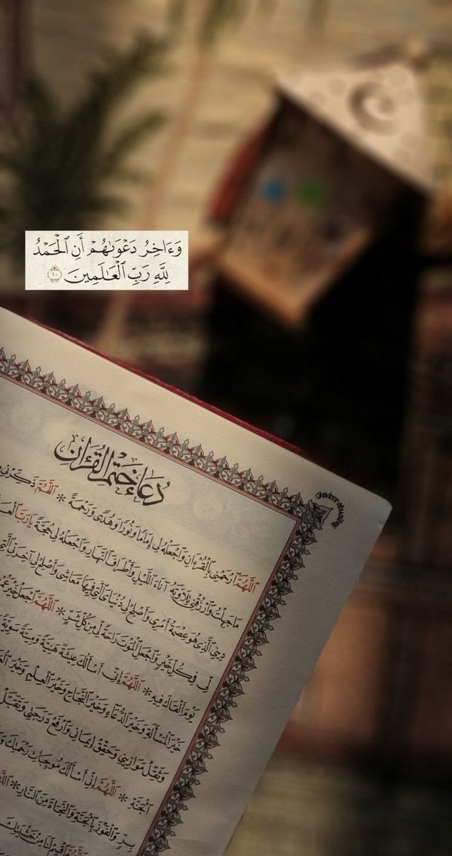 سـارة الخالدي. tweet media