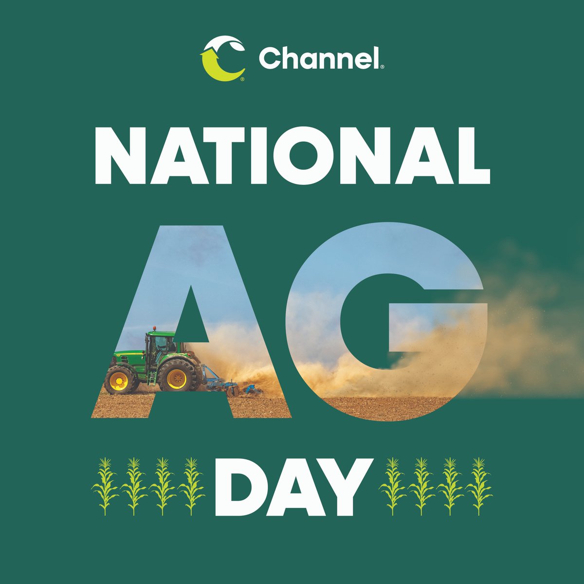 Channel Seed tweet media