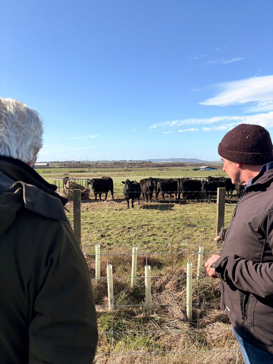 Tony Juniper tweet media