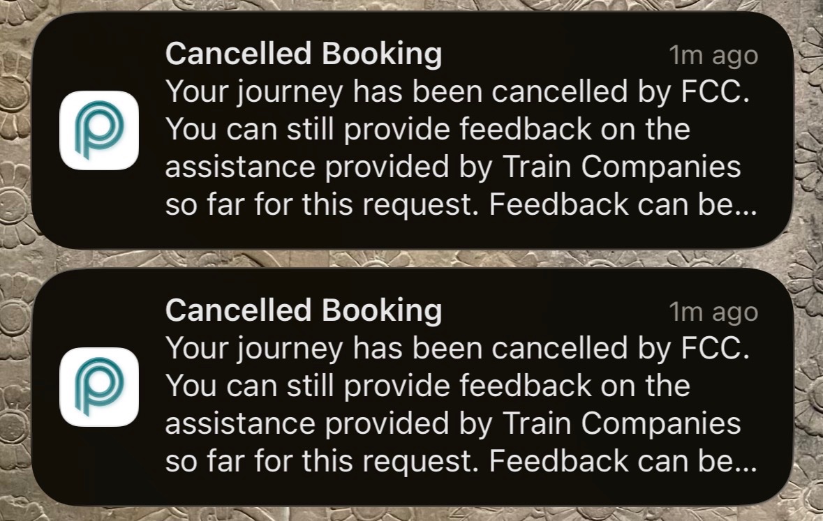 Anna Landre ♿️ tweet media