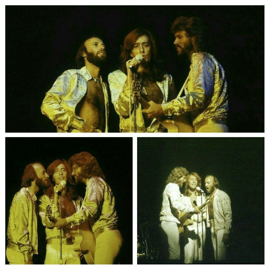 marcia thorne tweet media