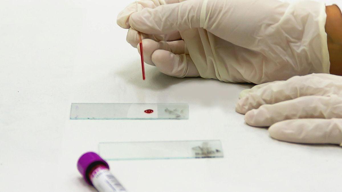 Slate.fr tweet media