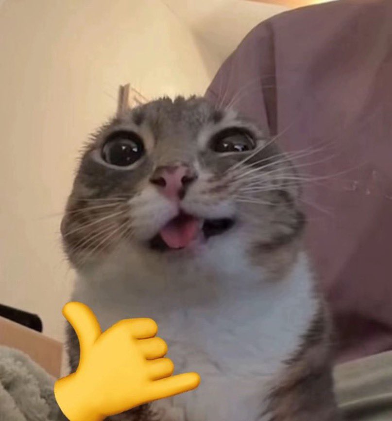 Daniel𓆩𓆪 tweet media