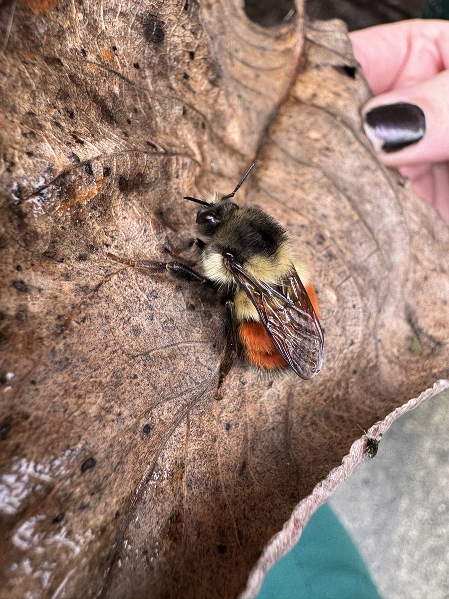 dak◡̈🐸🫑 tweet media