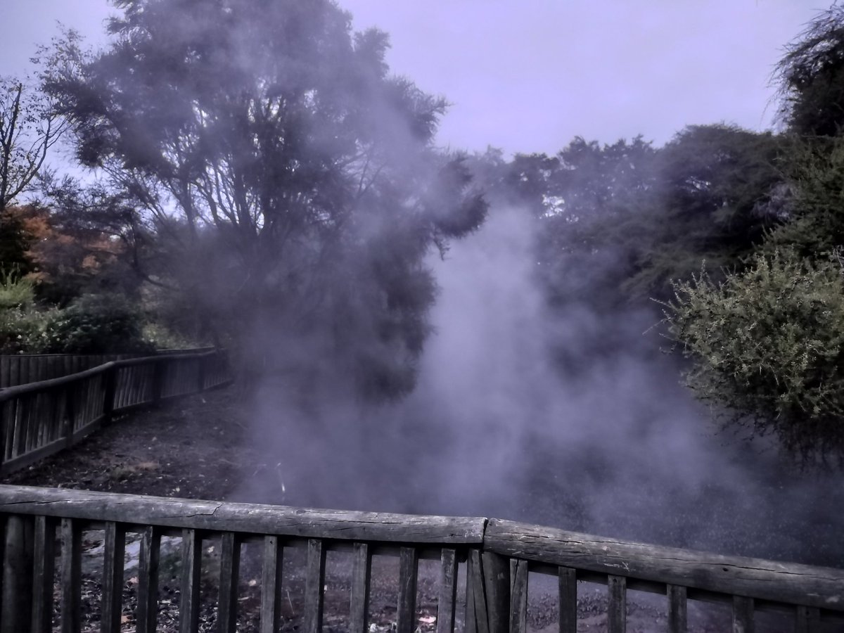 Sally Millington tweet media