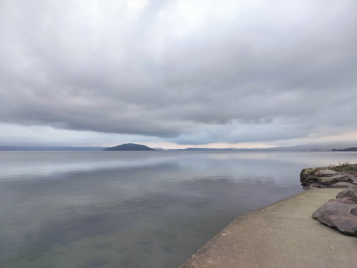 Sally Millington tweet media