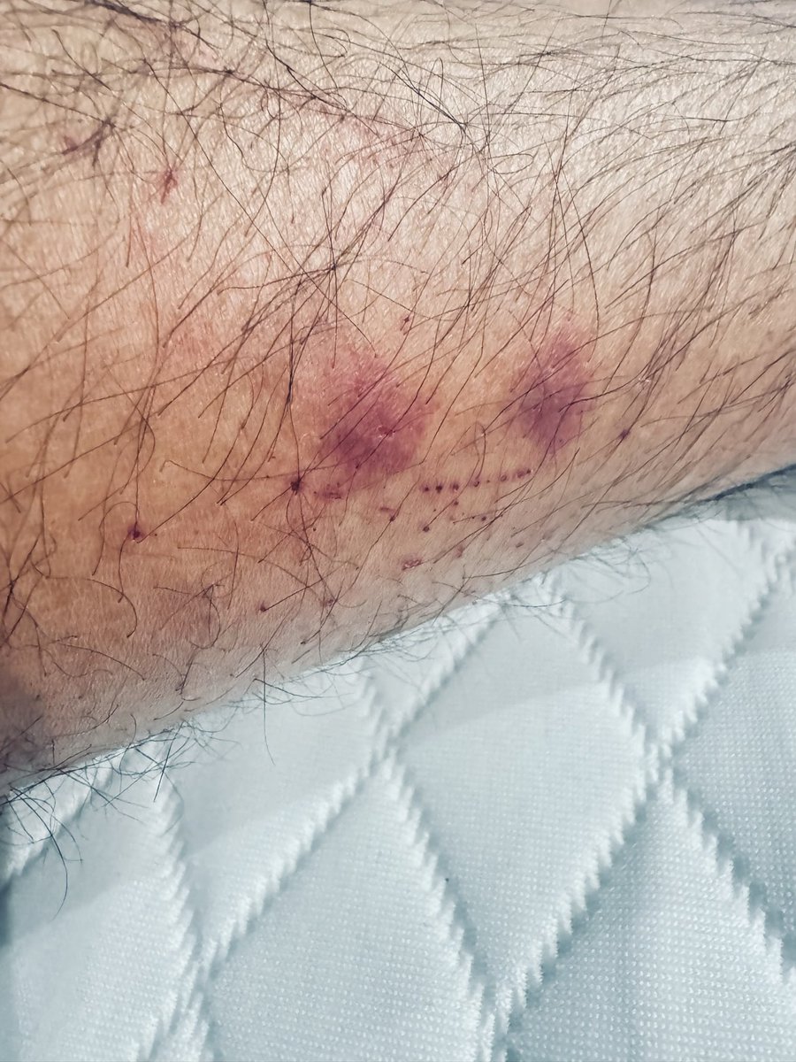 Muhammed Ashad Zalal tweet media