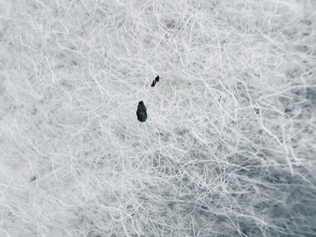 Muhammed Ashad Zalal tweet media