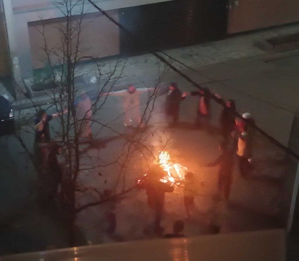 נועה מגיד | Noa magid tweet media