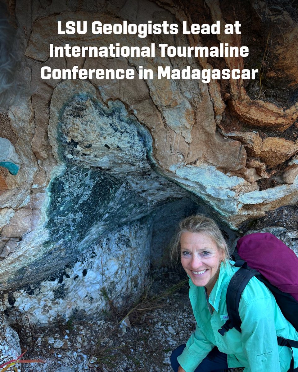 LSU College of Science tweet media