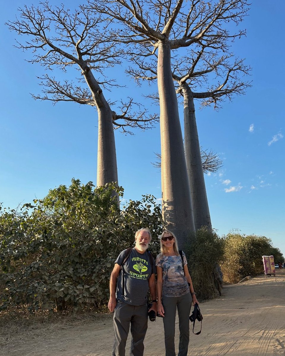 LSU College of Science tweet media