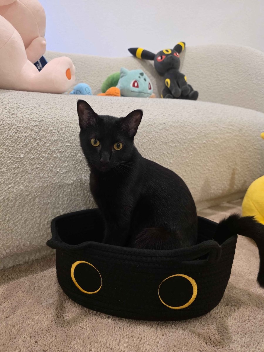 MaryMaybe tweet media