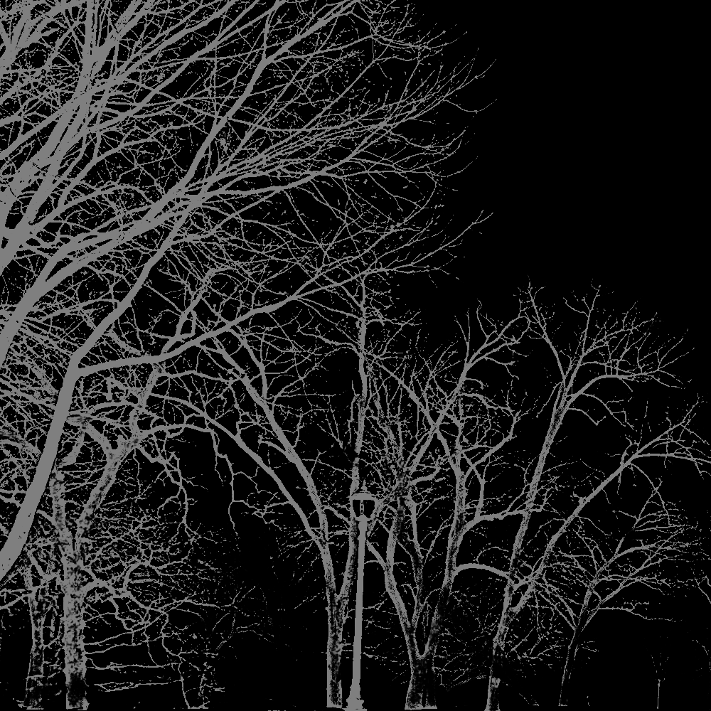 moreover tweet media