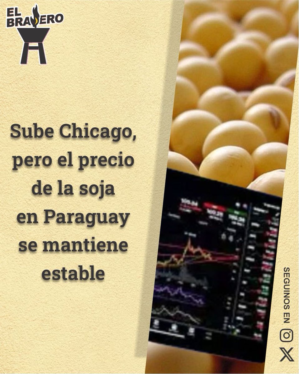 ElBraseroPy tweet media