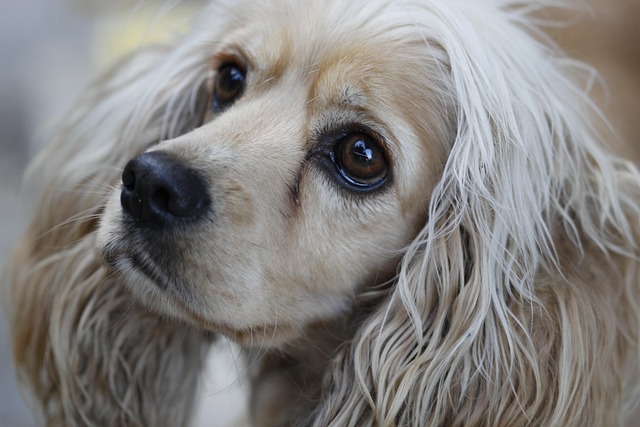 Travis Harper tweet media